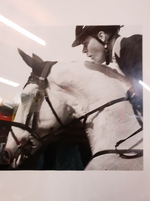 Foto van Jeroen Dubbeldam met paard in witte aluminium lijst