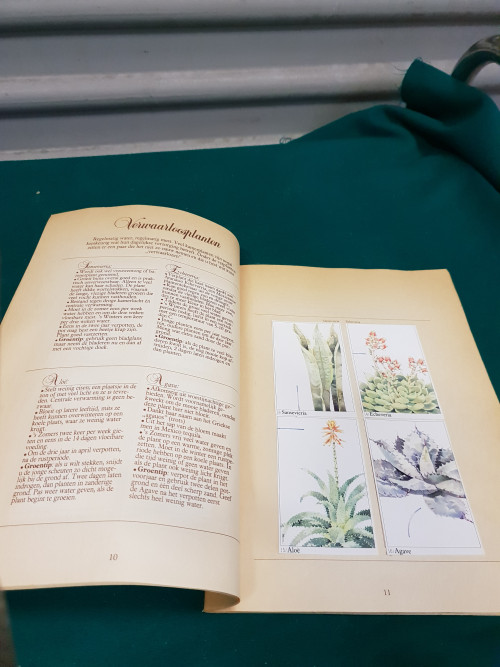 kamerplanten boek libelle