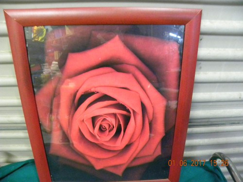 Schilderij / prent van rode roos in houten lijst