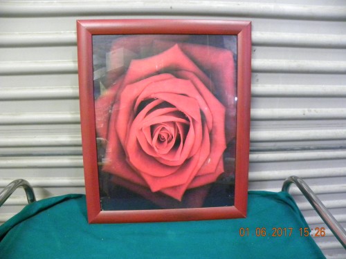 Schilderij / prent van rode roos in houten lijst