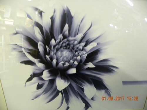 Schilderij / prent van bloem in de kleuren zwart, wit, en gr