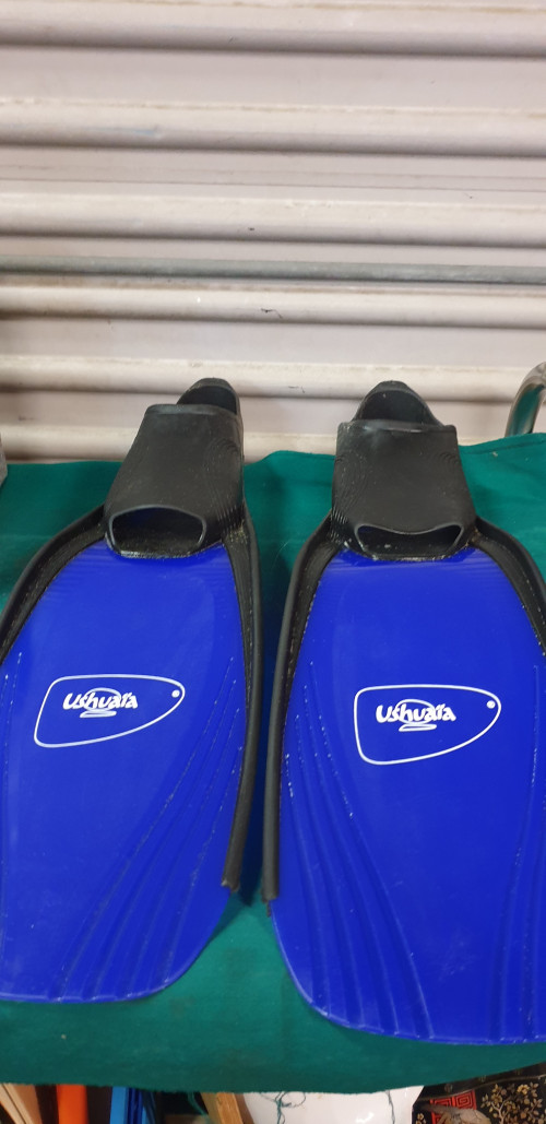 flippers ushuaia,