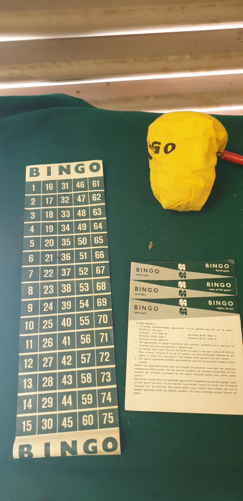 bingo compleet, met handleiding