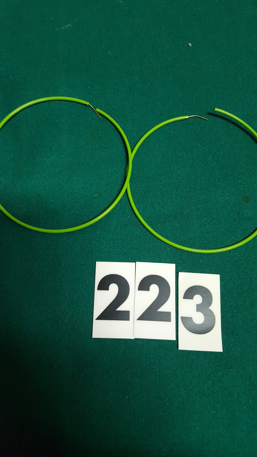 s 223 oorbellen groen