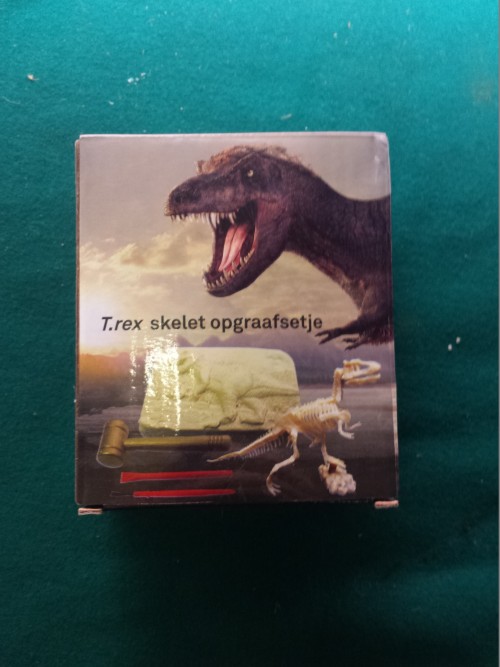 T.rex beeld opgraafset nieuw in doos, Naturalis