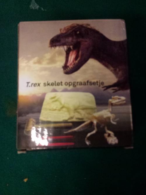 T.rex beeld opgraafset nieuw in doos, Naturalis