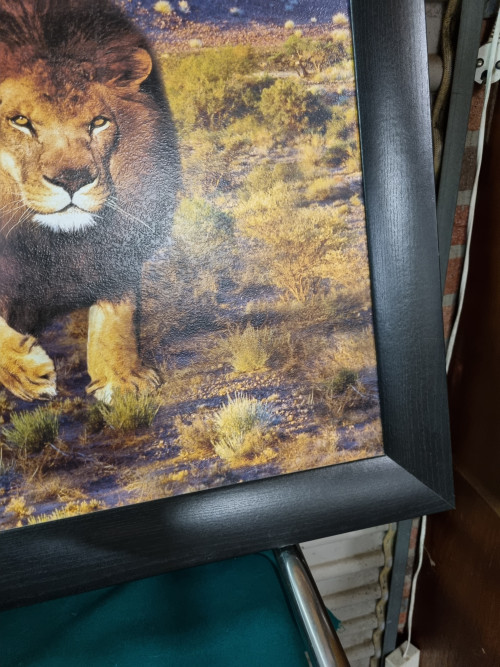 Schilderij prent tijger leeuw jaguar