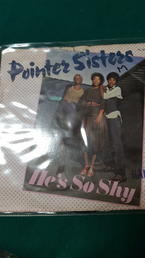 single pointer sisters, he so shy