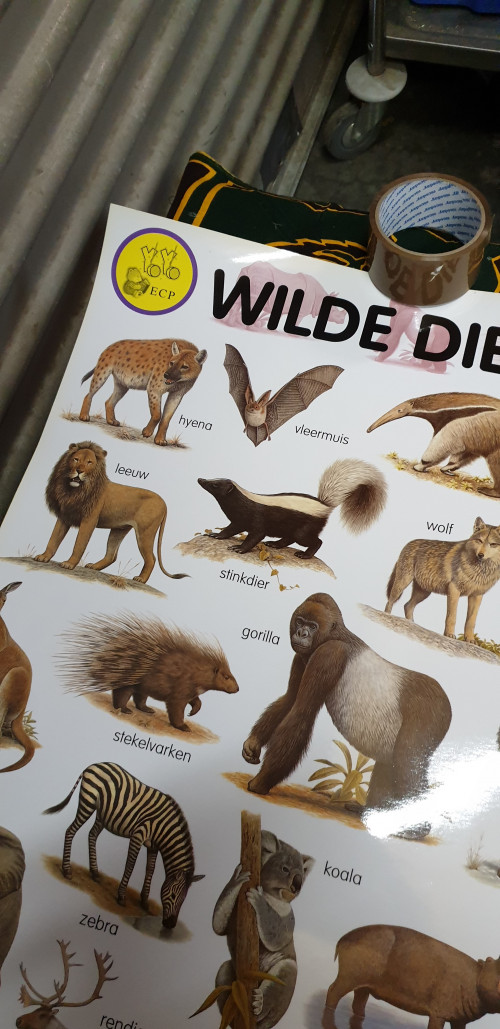 poster e-c-p wilde dieren
