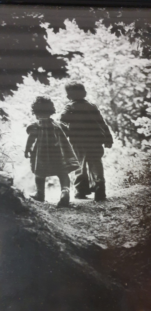 prent kinderen wandelen in het bos