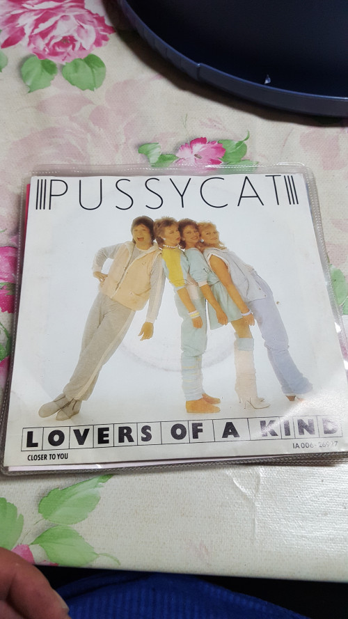 single pussycat, lovers of a kind