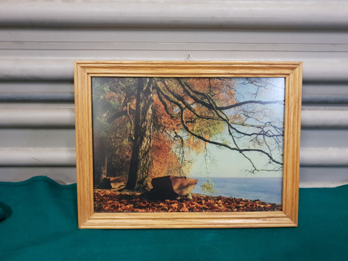 schilderij foto in houten lijst