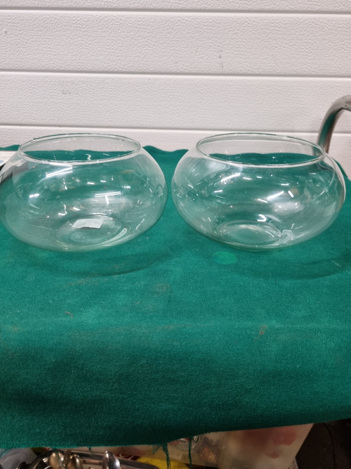Planten schalen van glas 2 stuks