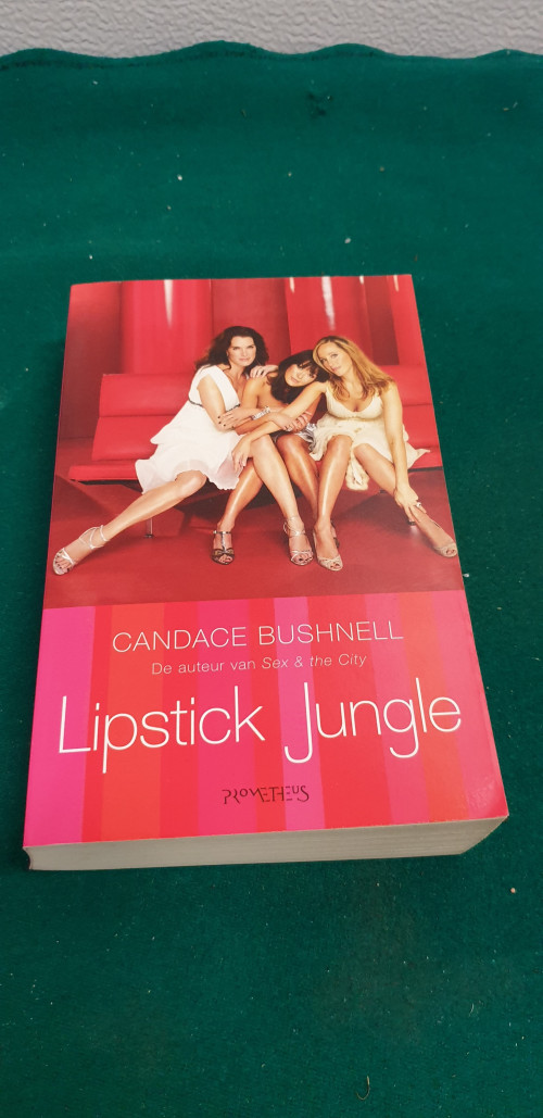 Boek lipstick jungle candace bushnell