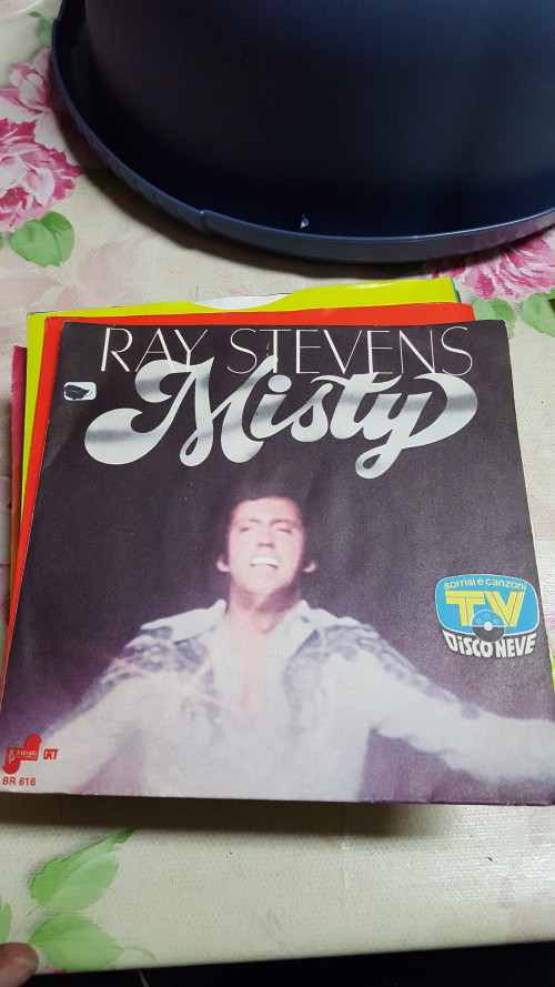 single ray stevens ,misty