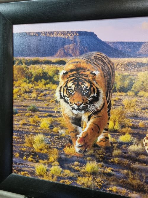 Schilderij prent tijger leeuw jaguar