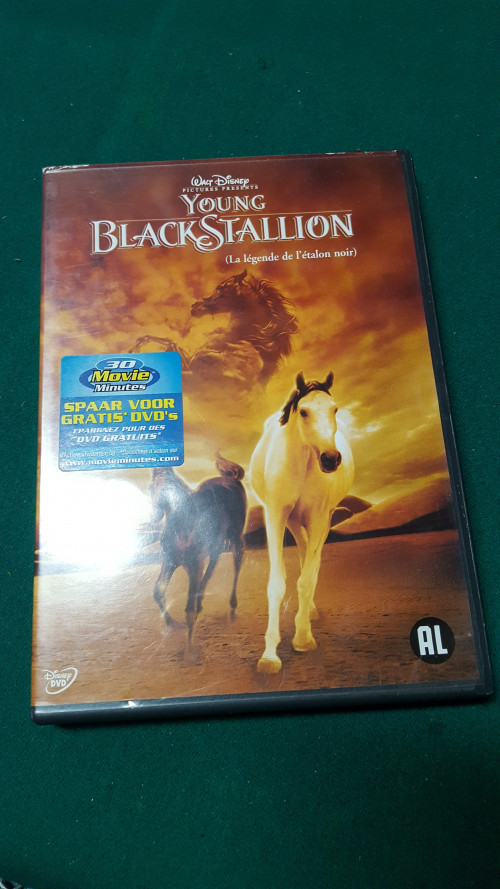 dvd young blackstallion