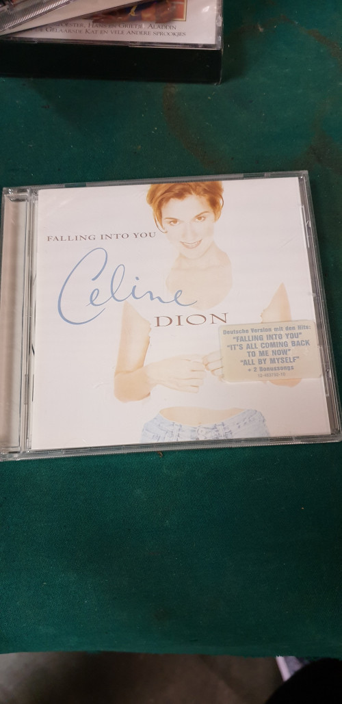 cd celin dion, falling into you