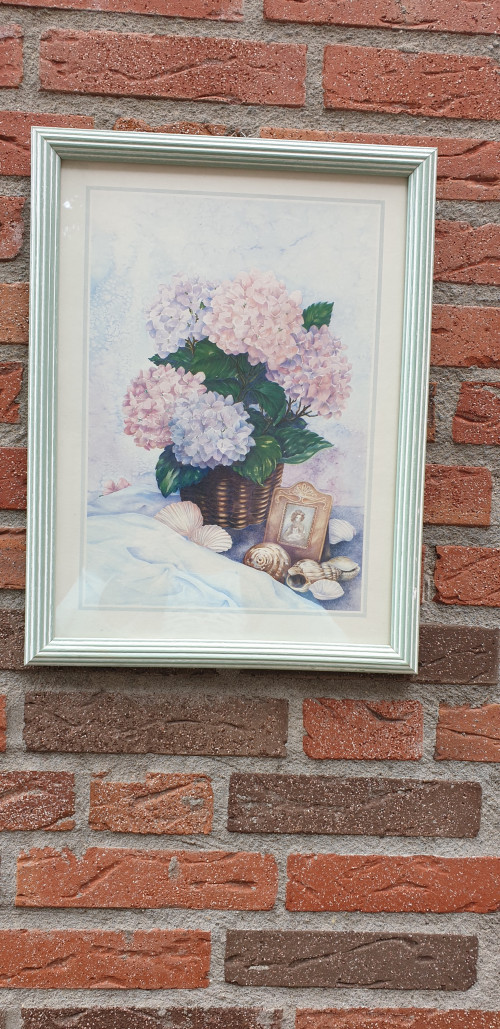 schilderij prent bloemen en schelpen