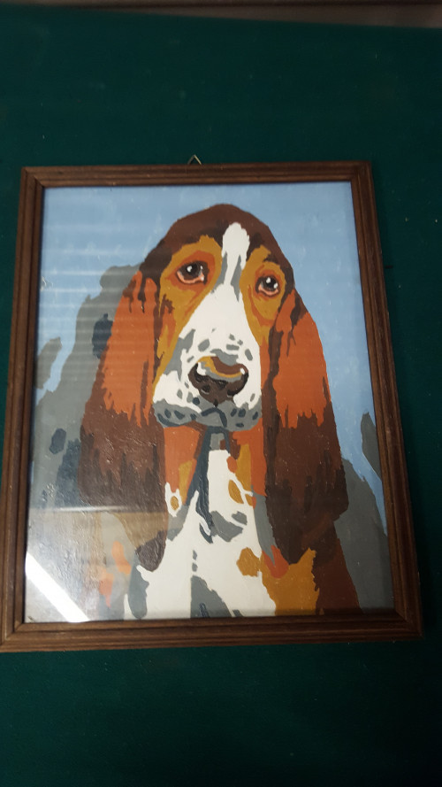 schilderij hond