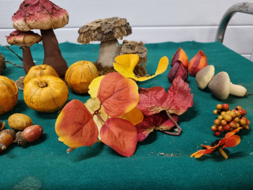 Herfst decoratie bladeren paddenstoelen enz