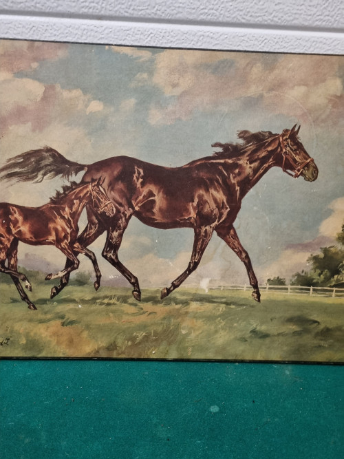 Schilderij prent paard en veulen vintage