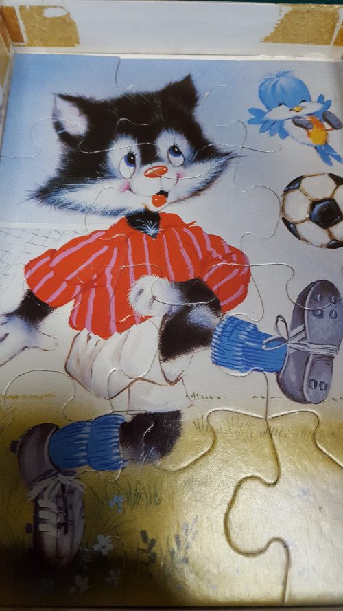 puzzel voetbal poes