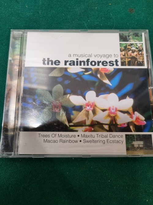cd the rainforest