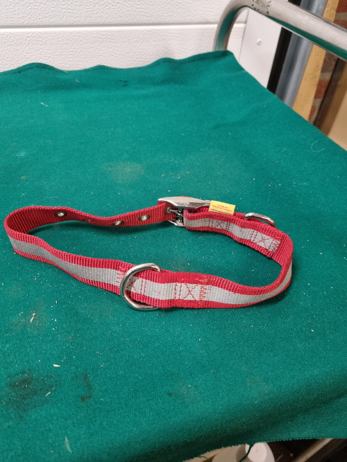 Halsband voor hond pedigree