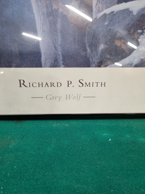 prent grey wolf in zwarte lijst