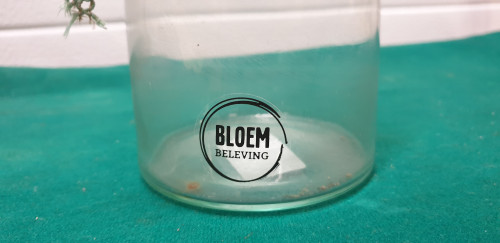 vaas van glas merk bloembeleving