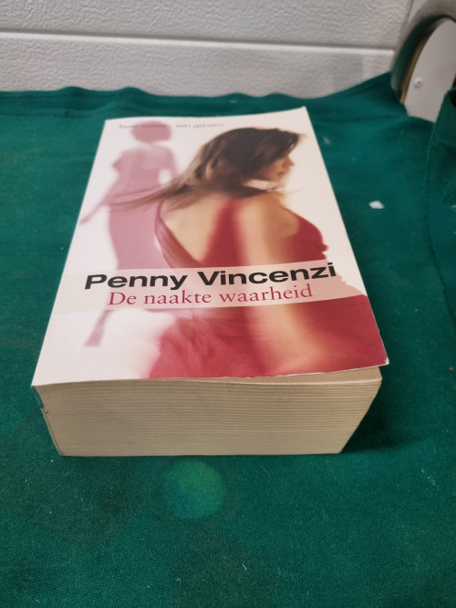 boek de naakte waarheid penny vincenzi